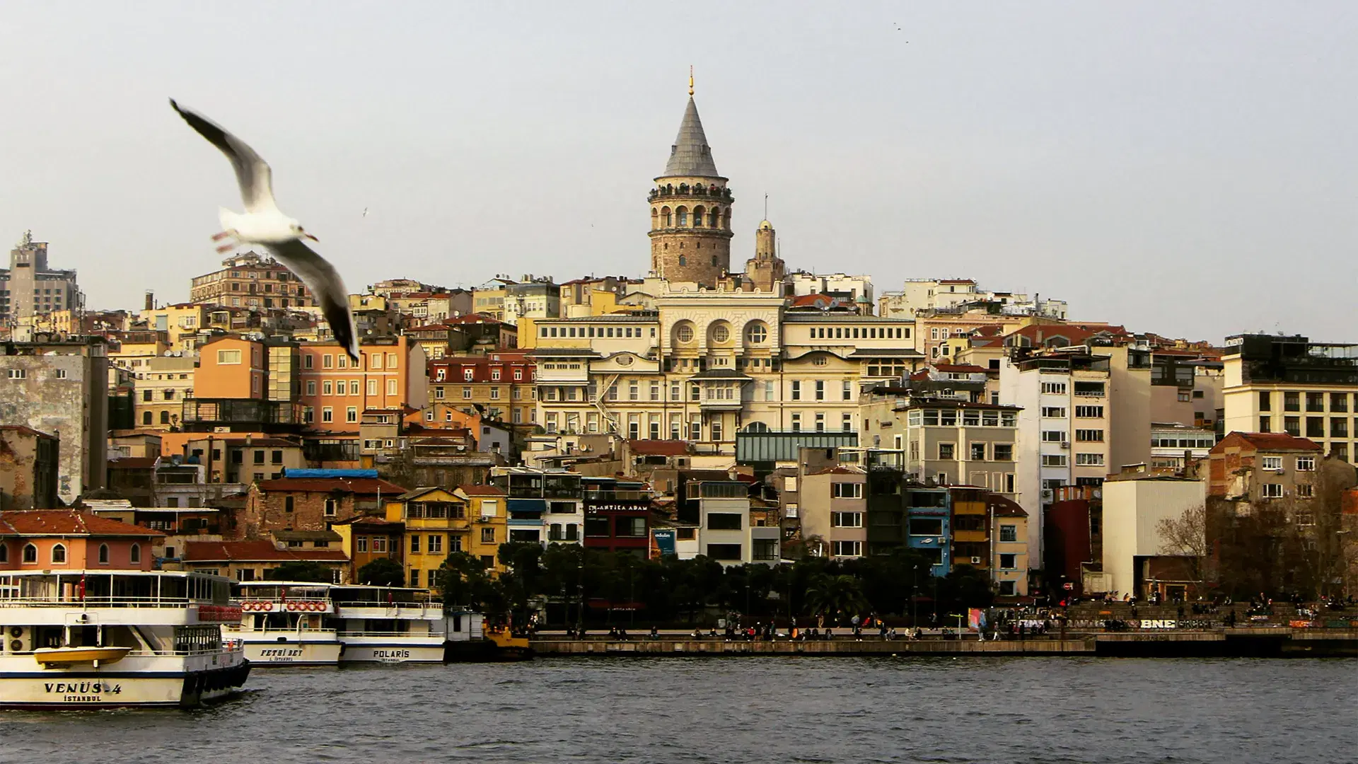 Why Choose Turkey for Hair Transplant